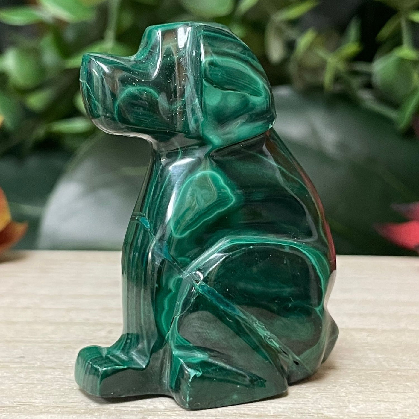 Malachite - Dog