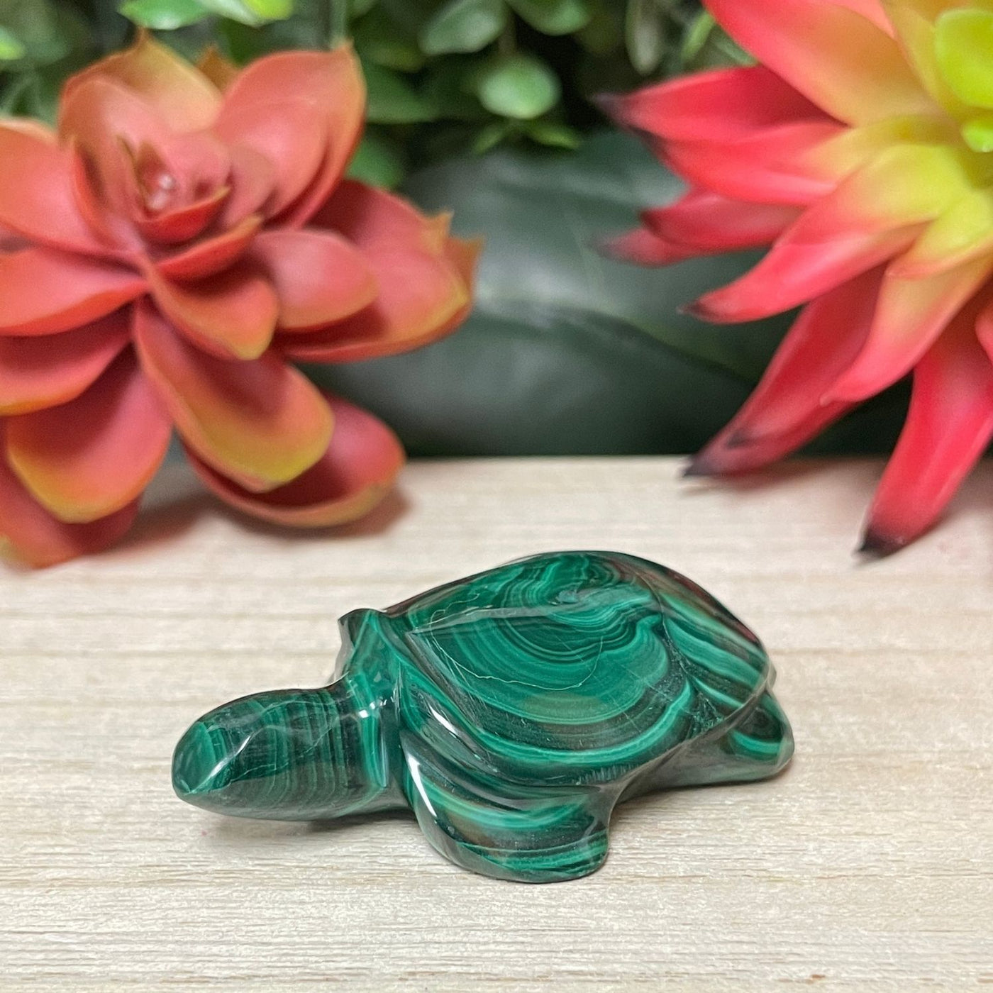 Malachite - Turtle