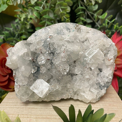 Apophyllite - Grey - Cluster
