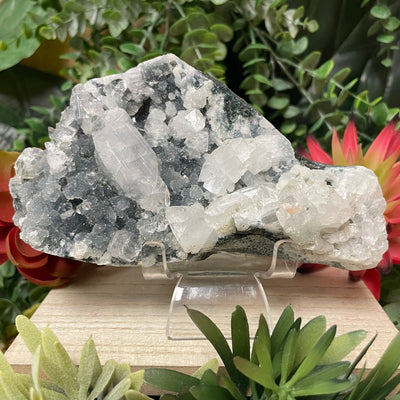 Apophyllite - Grey - Cluster