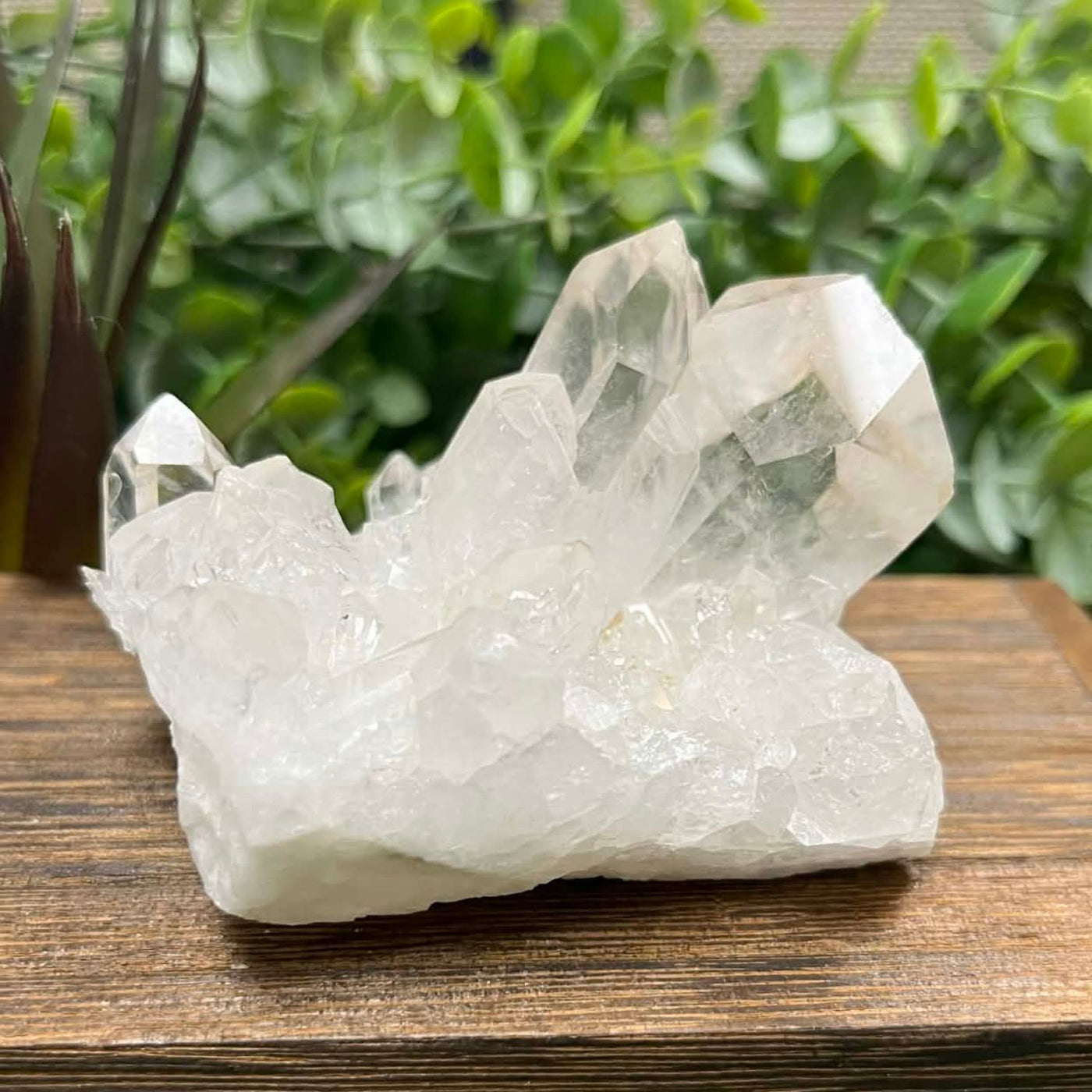 Clear Quartz - Cluster