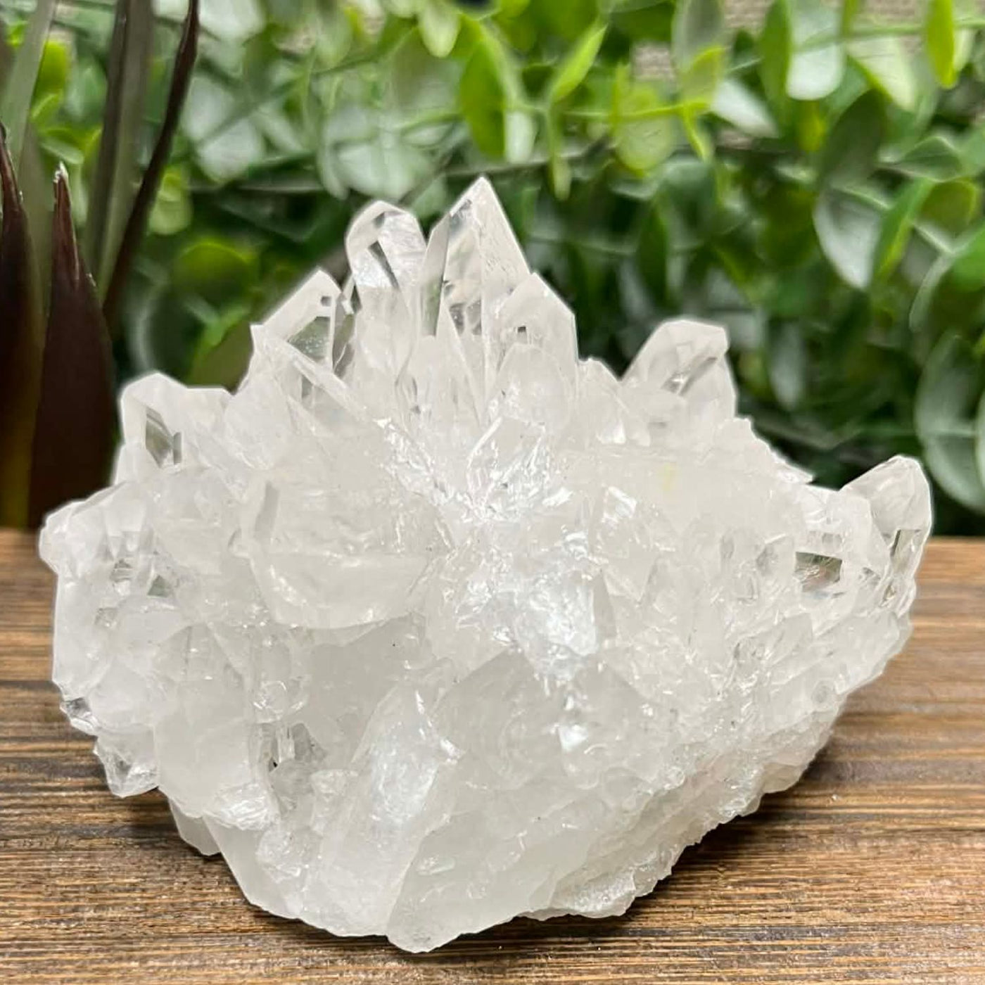 Clear Quartz - Cluster