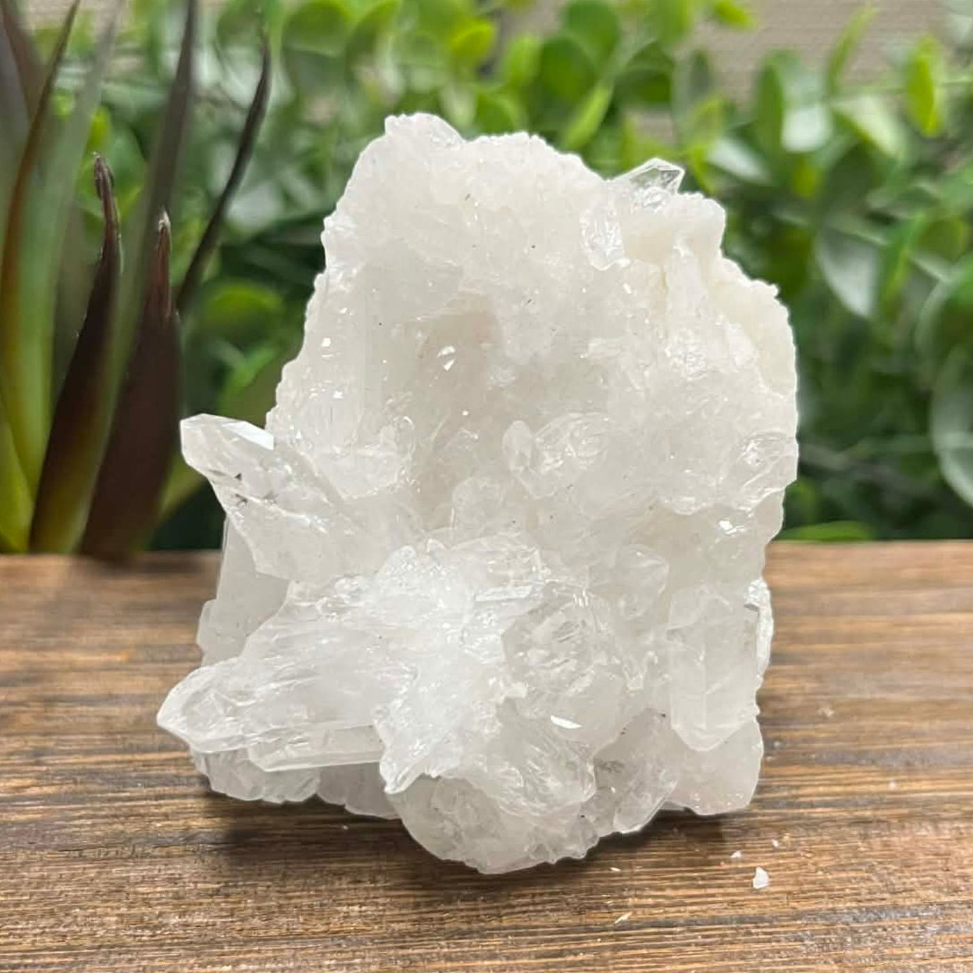 Clear Quartz - Cluster