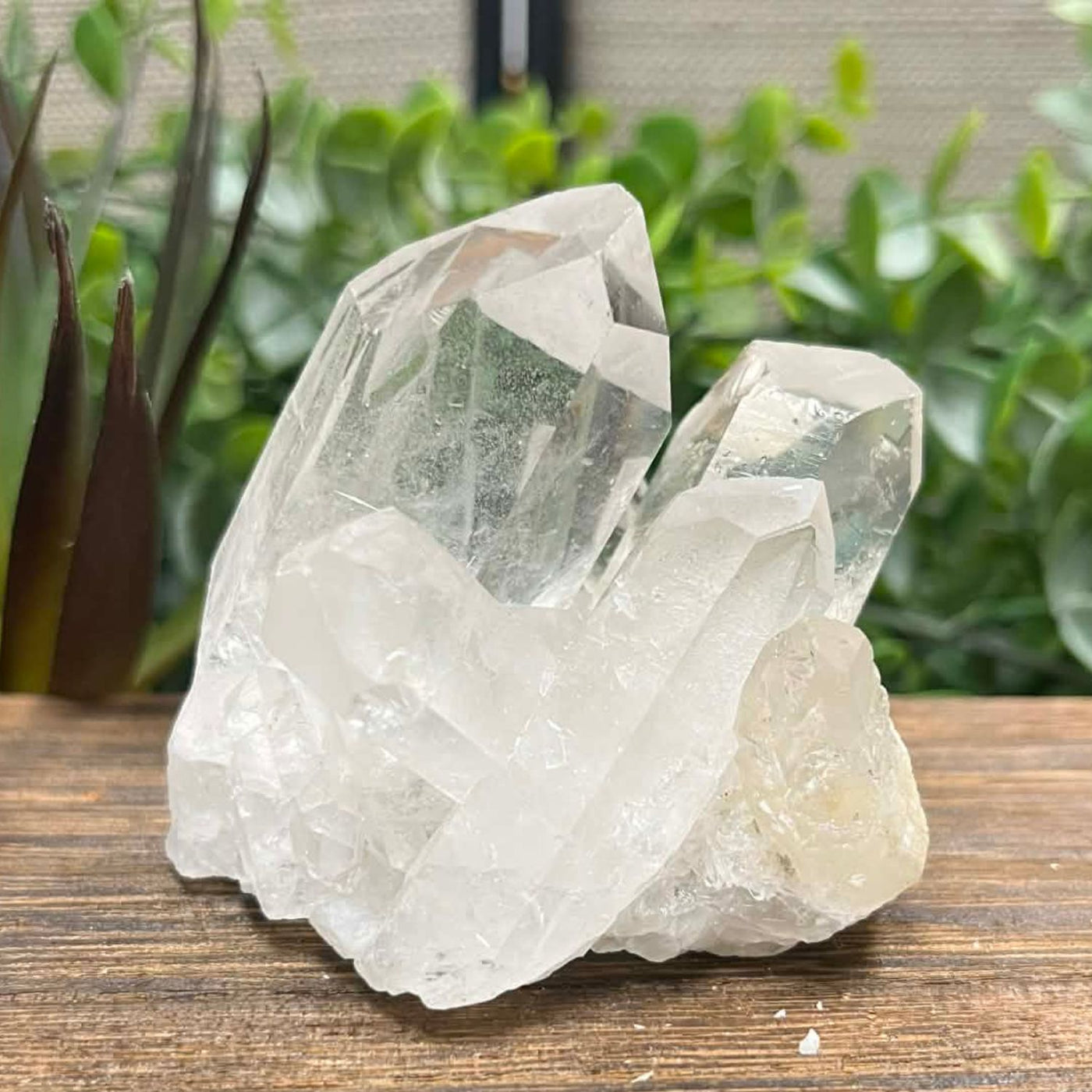 Clear Quartz - Cluster