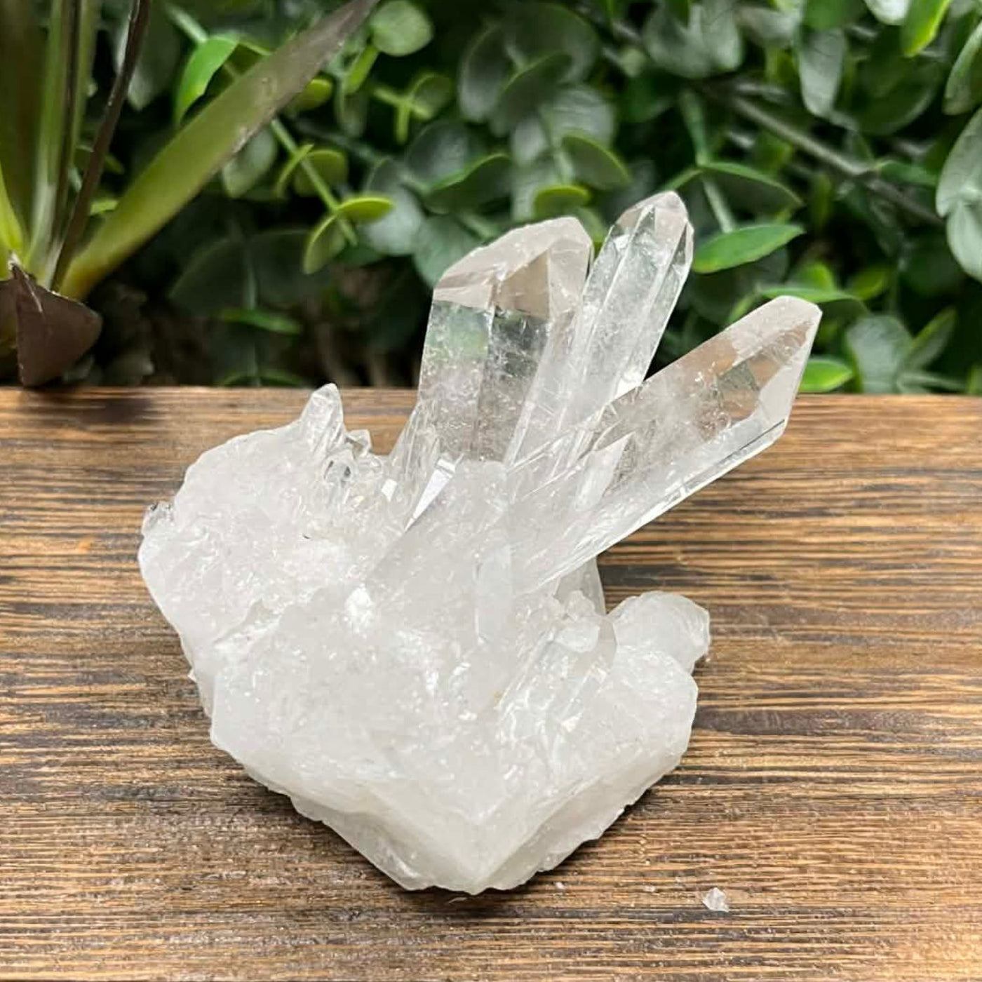 Clear Quartz - Cluster