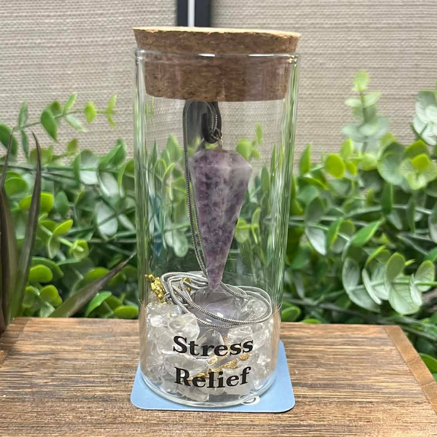 2 piece: Intention Jar Gift Set - Stress Relief – Holiday Edition