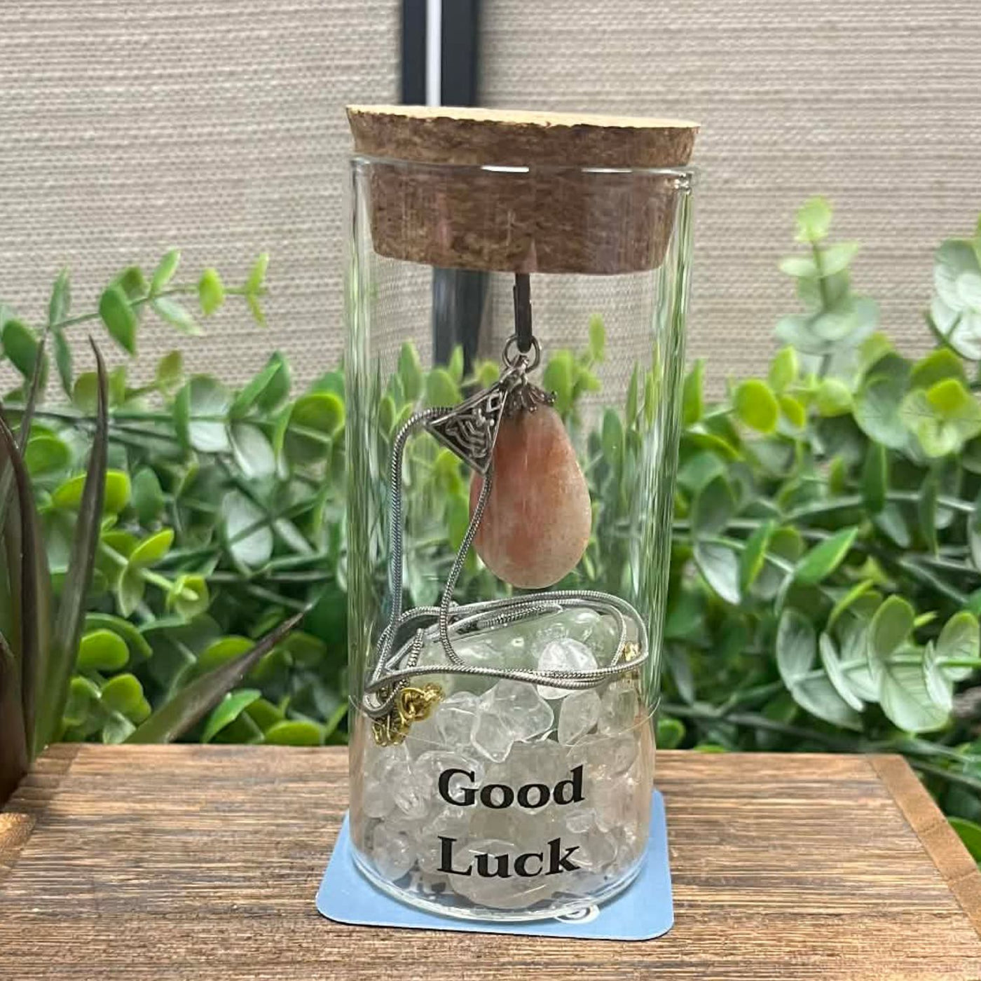 2 piece: Intention Jar Gift Set - Good Luck  – Holiday Edition