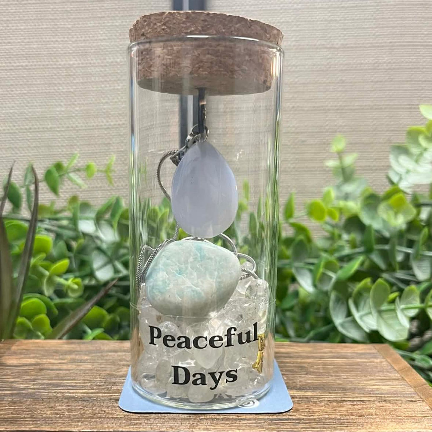 2 piece: Intention Jar Gift Set - Peaceful Days  – Holiday Edition