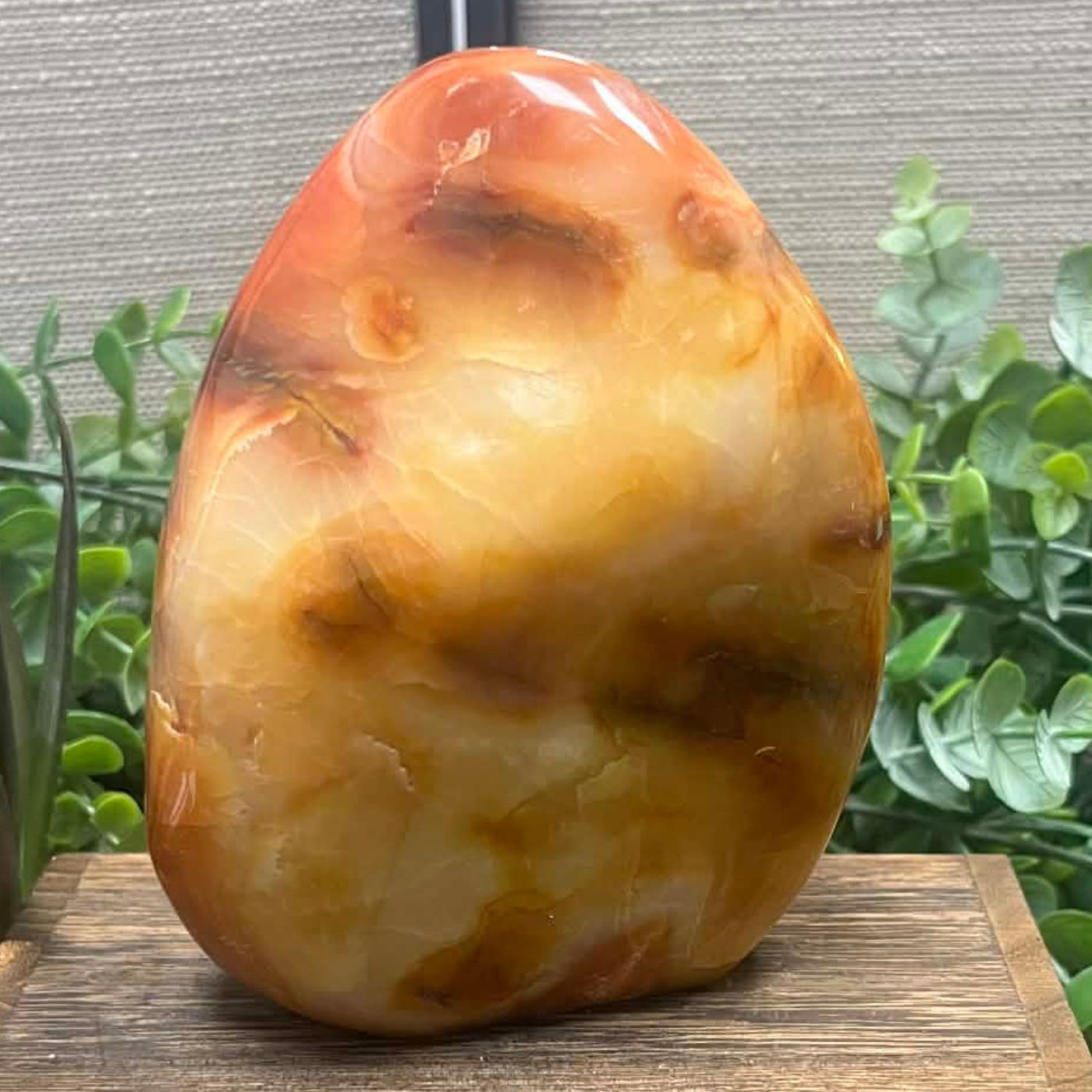 Carnelian - Freeform xxLg