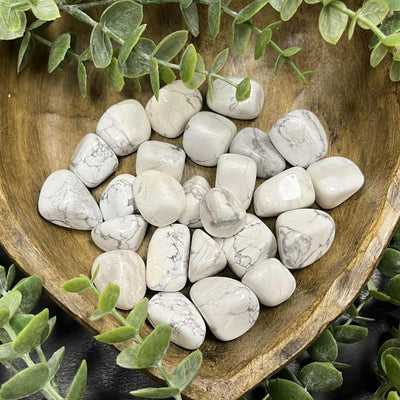 Howlite - 0.5" - 1.0" - Tumbled