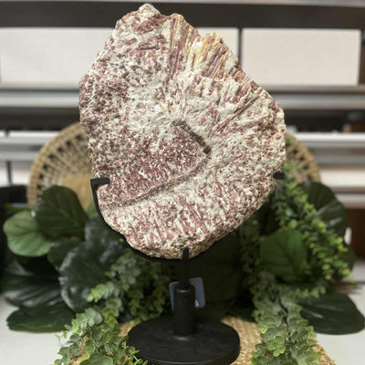 Pink Tourmaline - On Stand