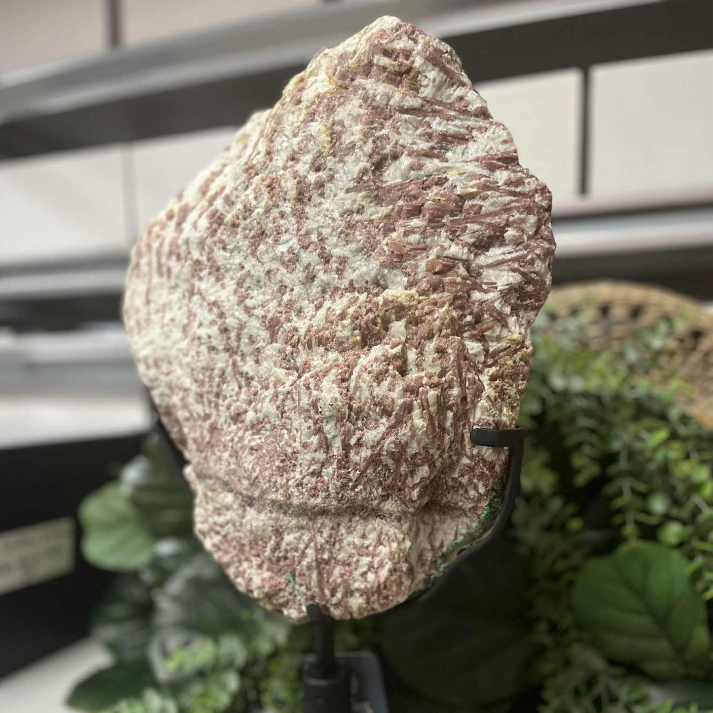 Pink Tourmaline - On Stand