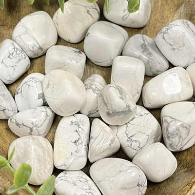 Howlite - 0.5" - 1.0" - Tumbled