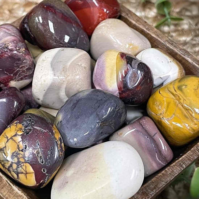Mookaite - 0.5 - 1.5" - Tumbled