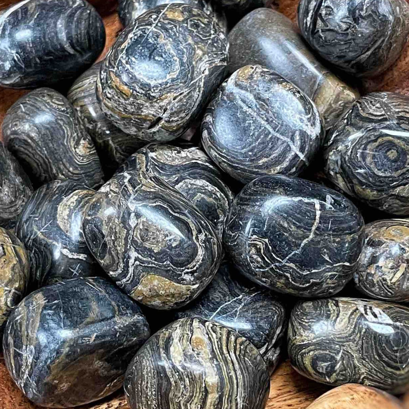 Stromatolite - 0.5" - 1.75" - Tumbled
