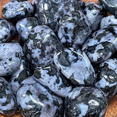 Indigo Gabbro -  Tumbled