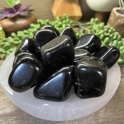 Black Obsidian - 1.0" - 2.0" - Tumbled