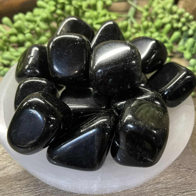 Black Obsidian - 1.0" - 2.0" - Tumbled
