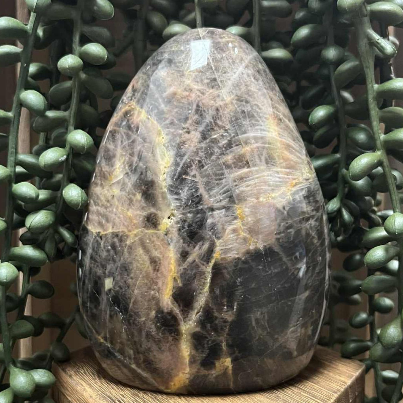 Black Moon Stone - Freeform