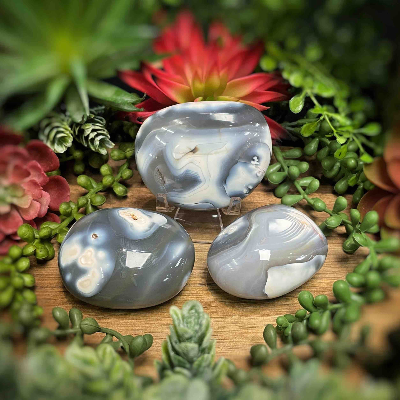 Orca Agate - Palm Stone
