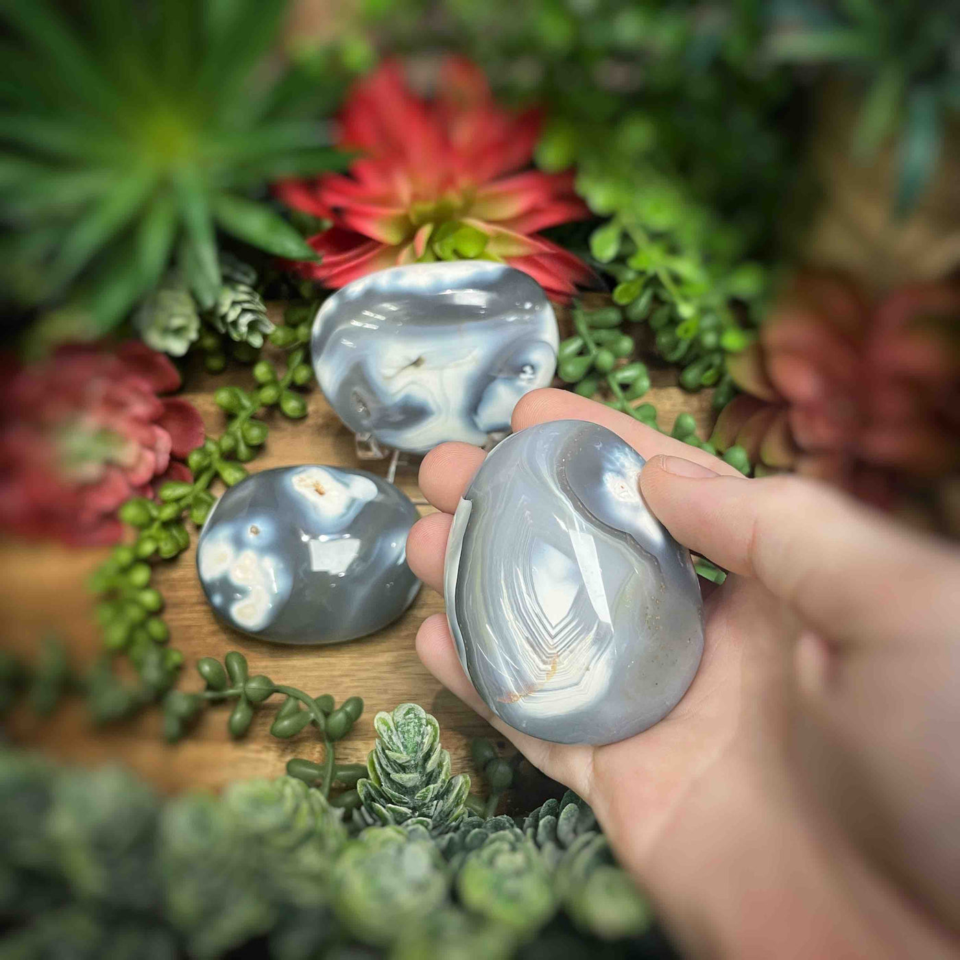 Orca Agate - Palm Stone