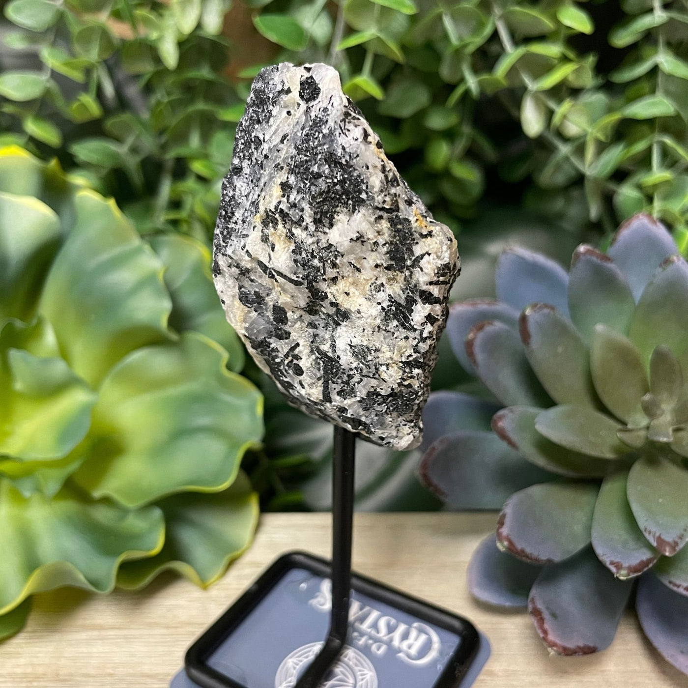 Black Tourmaline and Quartz - Standing Free Form