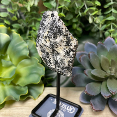 Black Tourmaline and Quartz - Standing Free Form