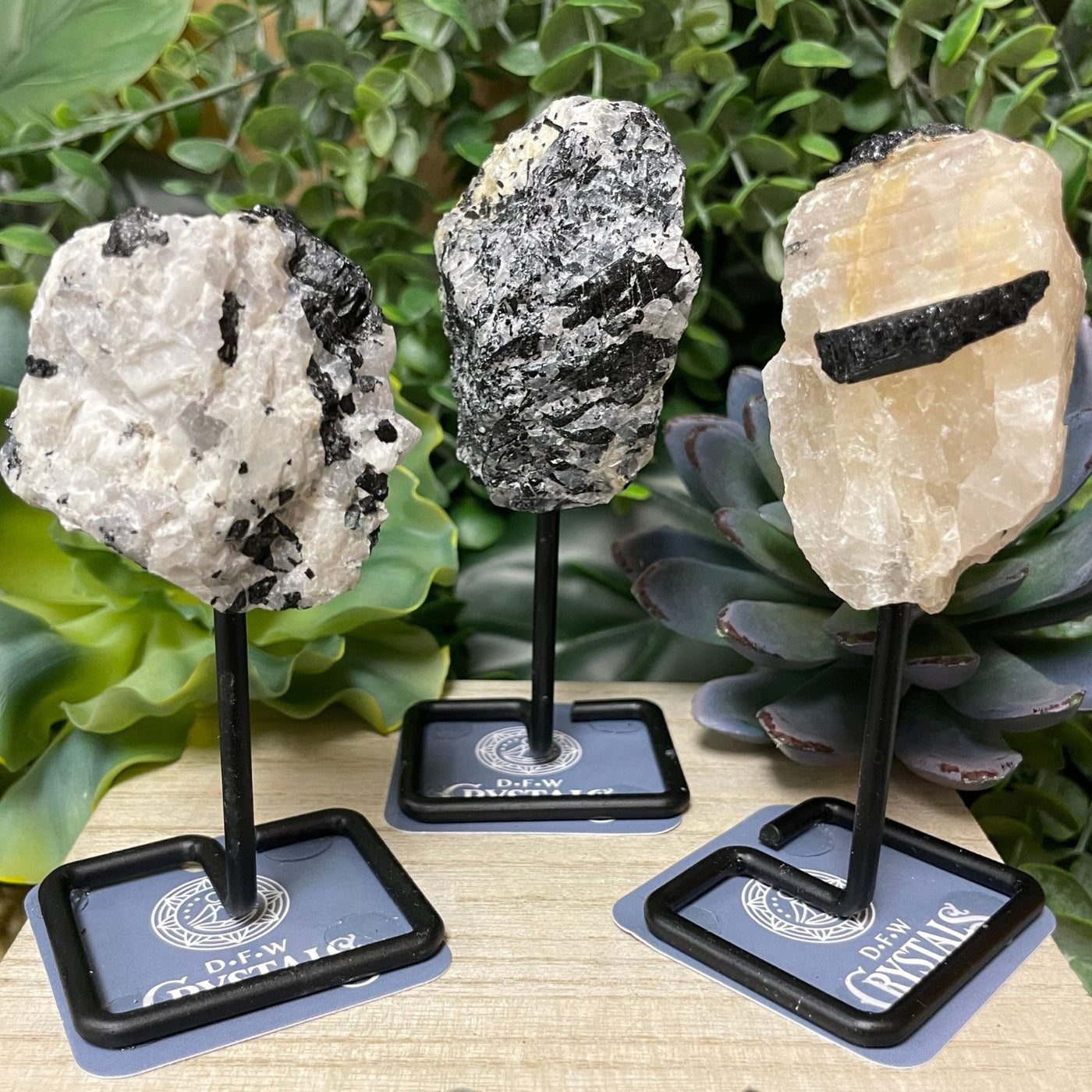 Black Tourmaline and Quartz - Standing Free Form