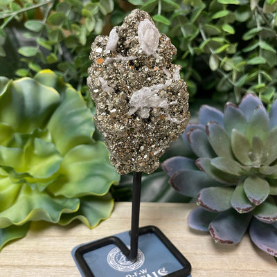 Pyrite - On Stand