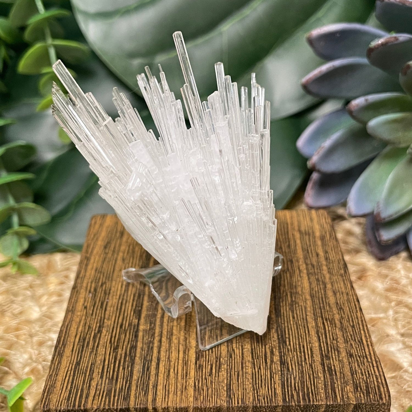 Scolecite