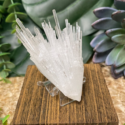 Scolecite
