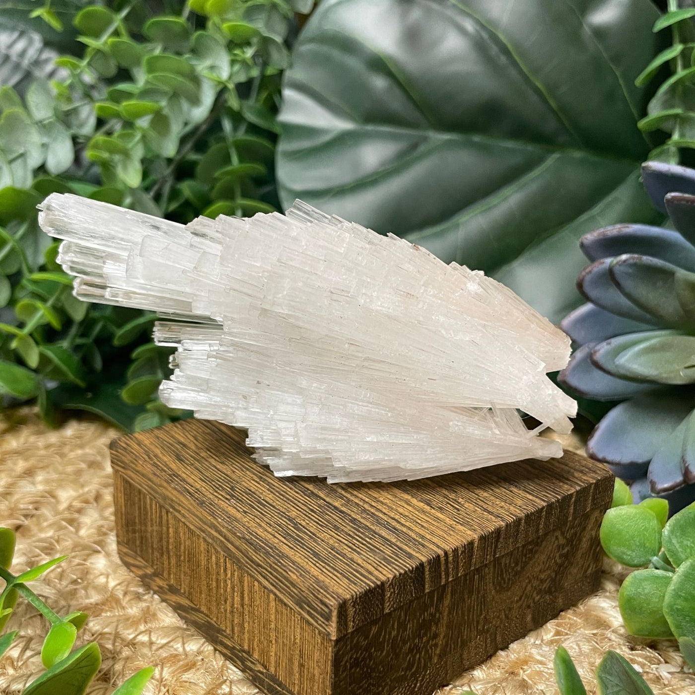 Scolecite