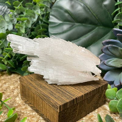 Scolecite