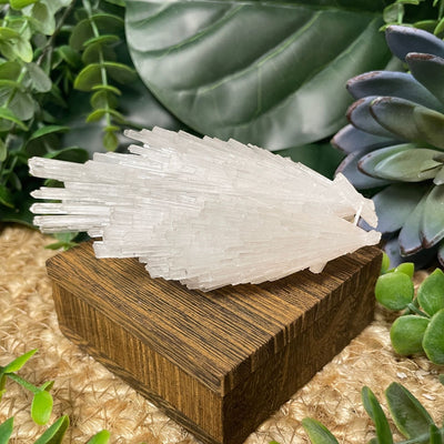 Scolecite