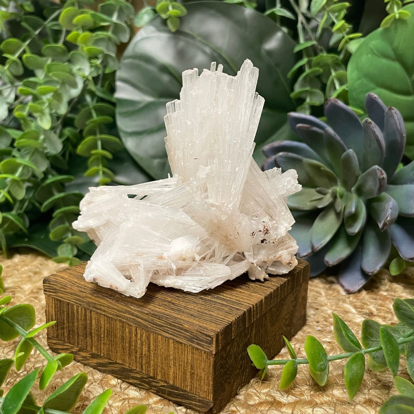 Scolecite