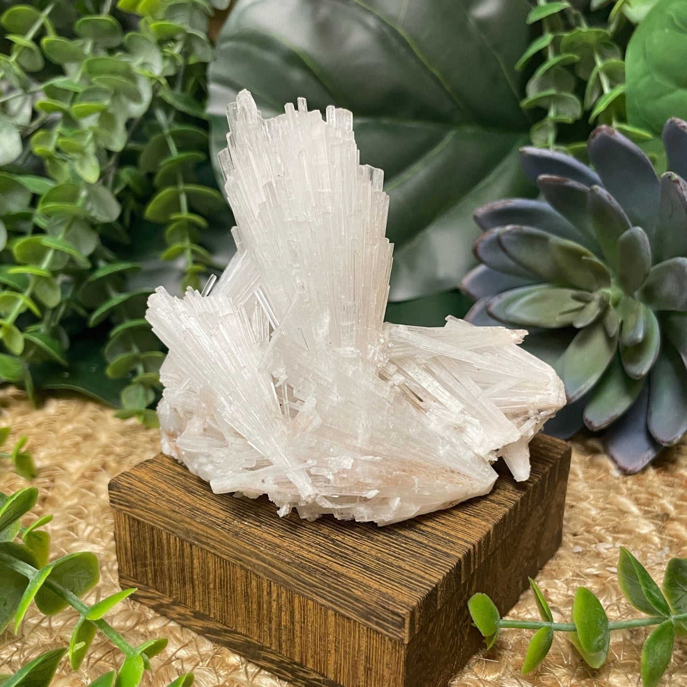Scolecite