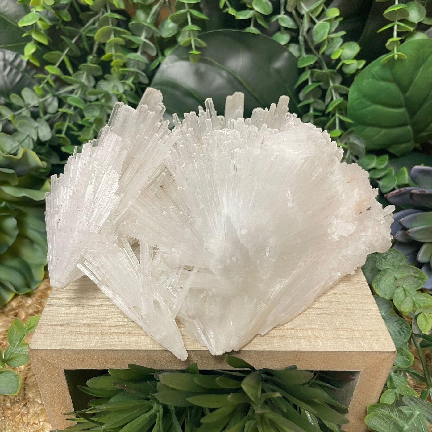 Scolecite