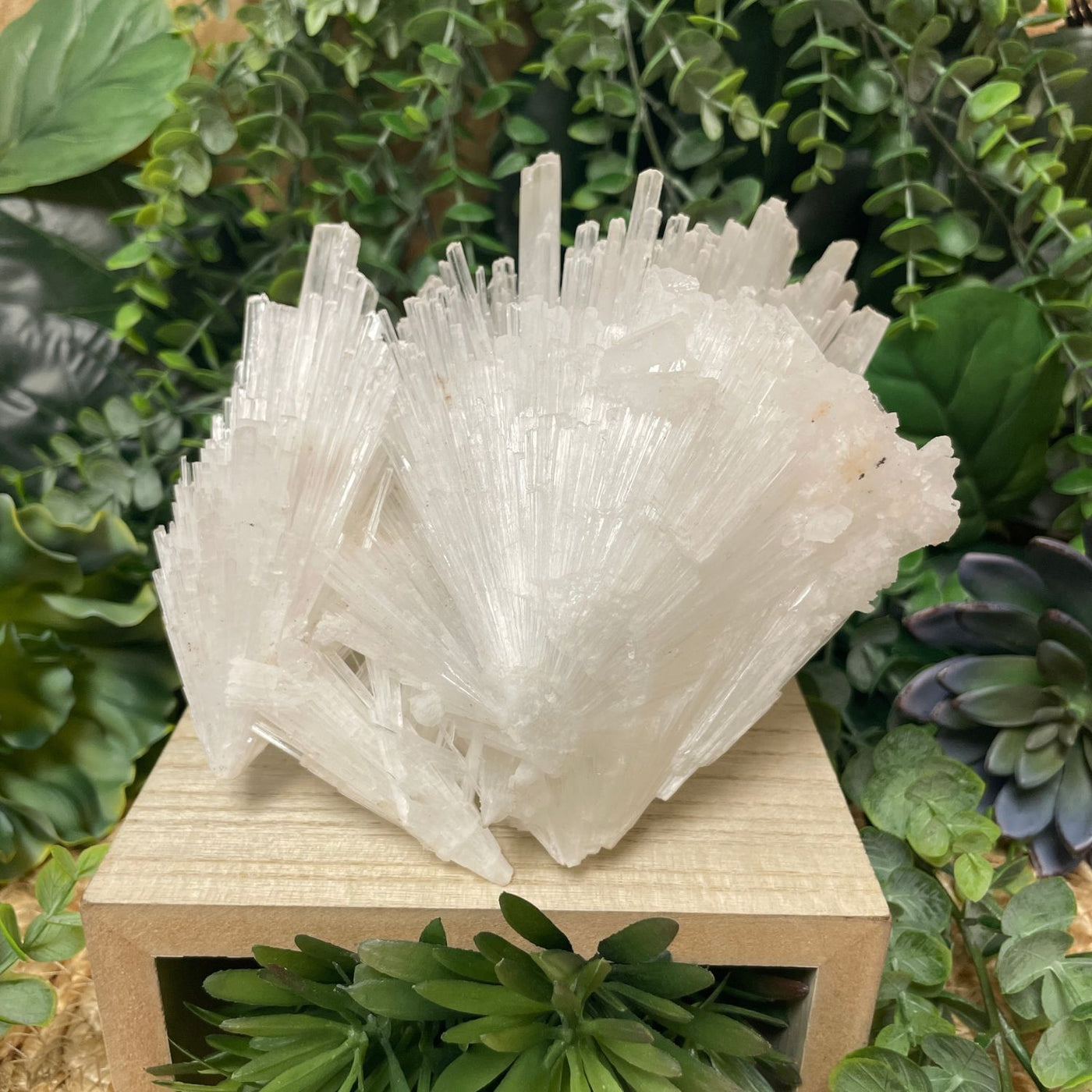 Scolecite