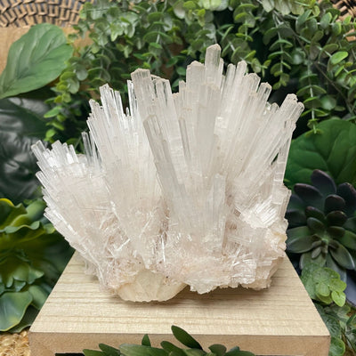 Scolecite