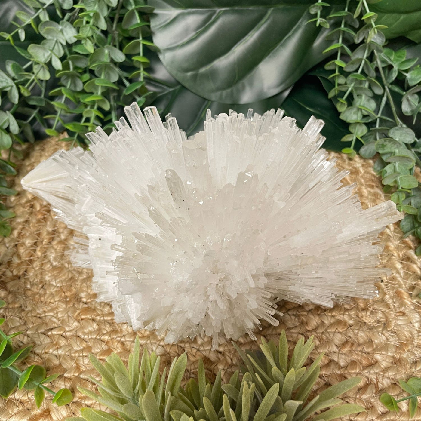 Scolecite