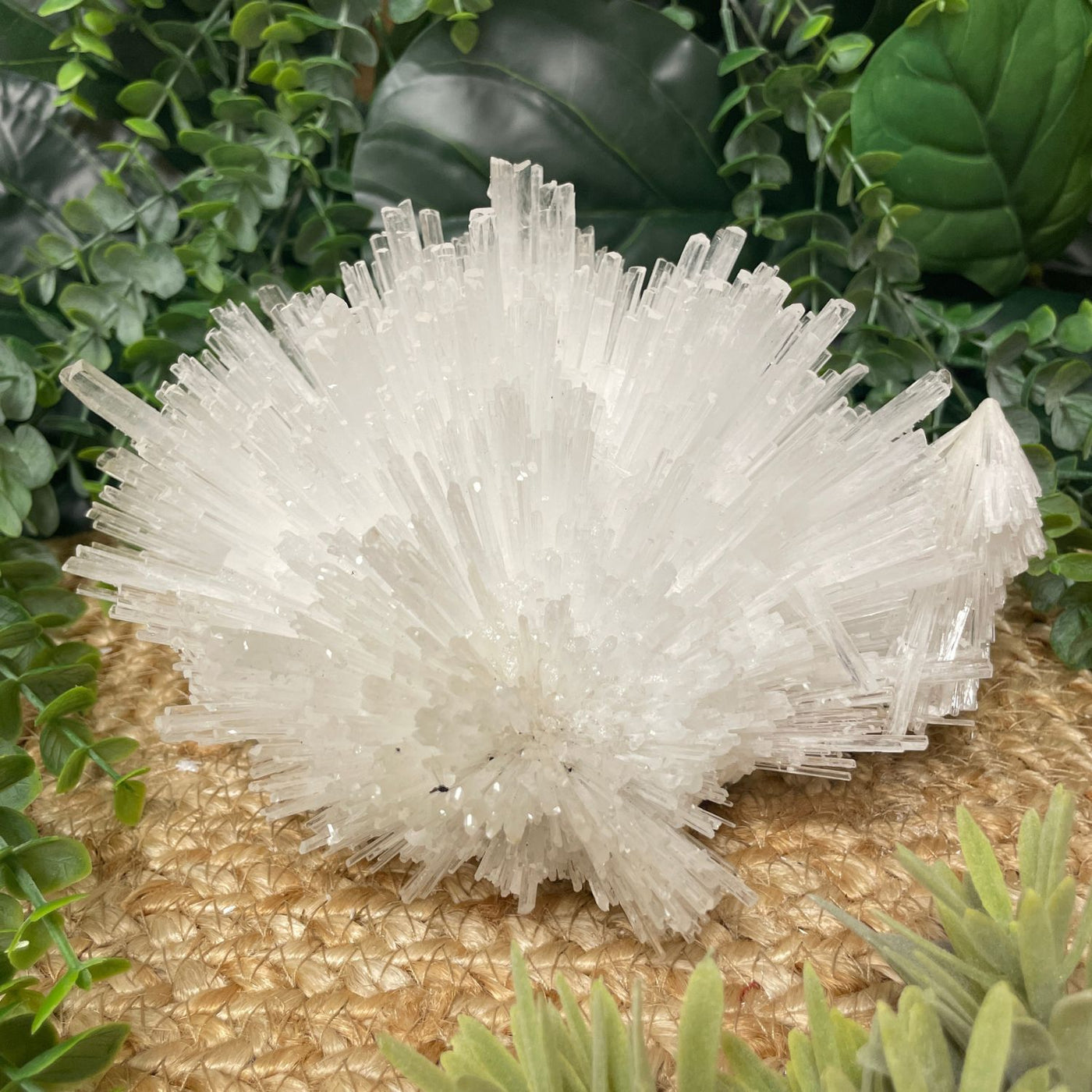 Scolecite