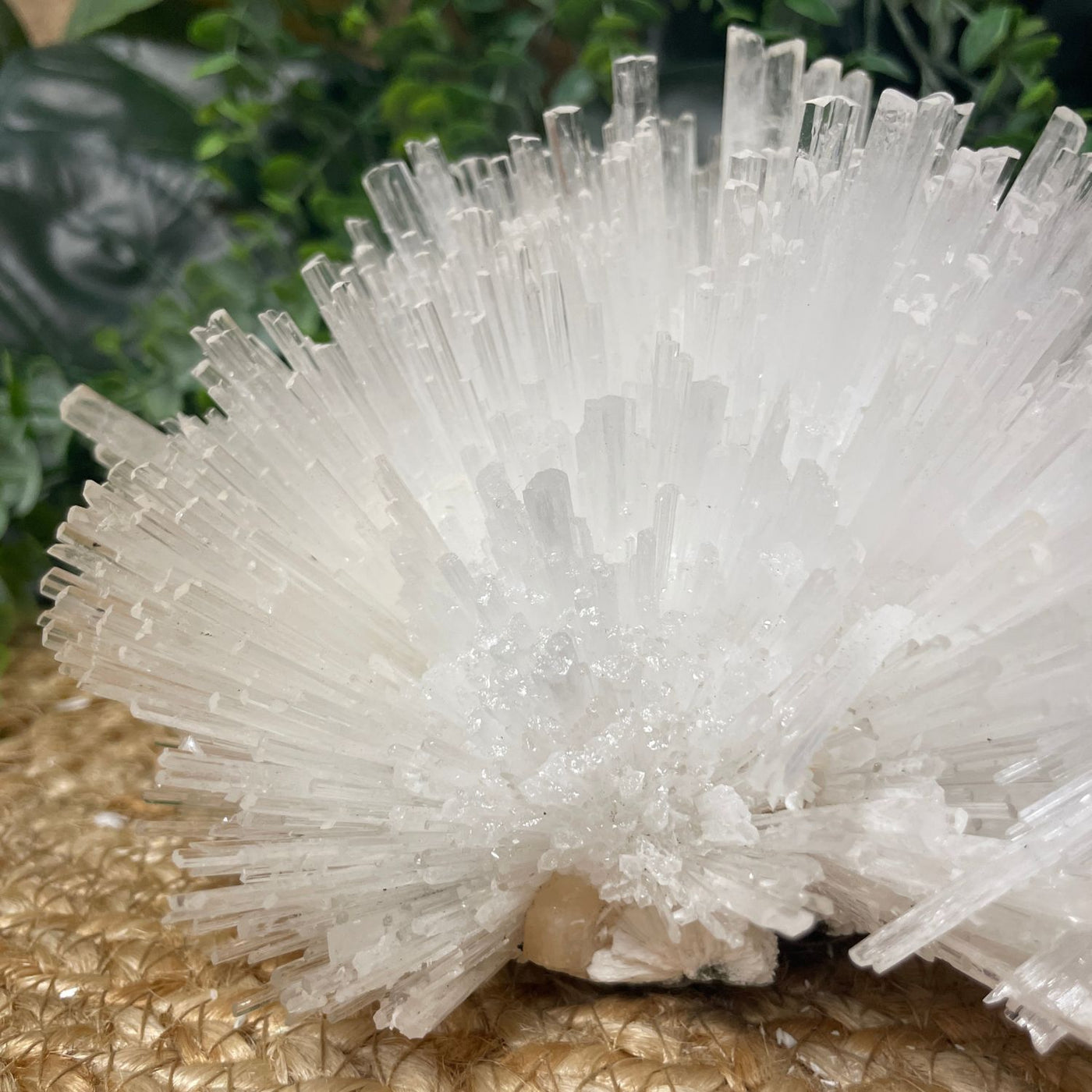 Scolecite