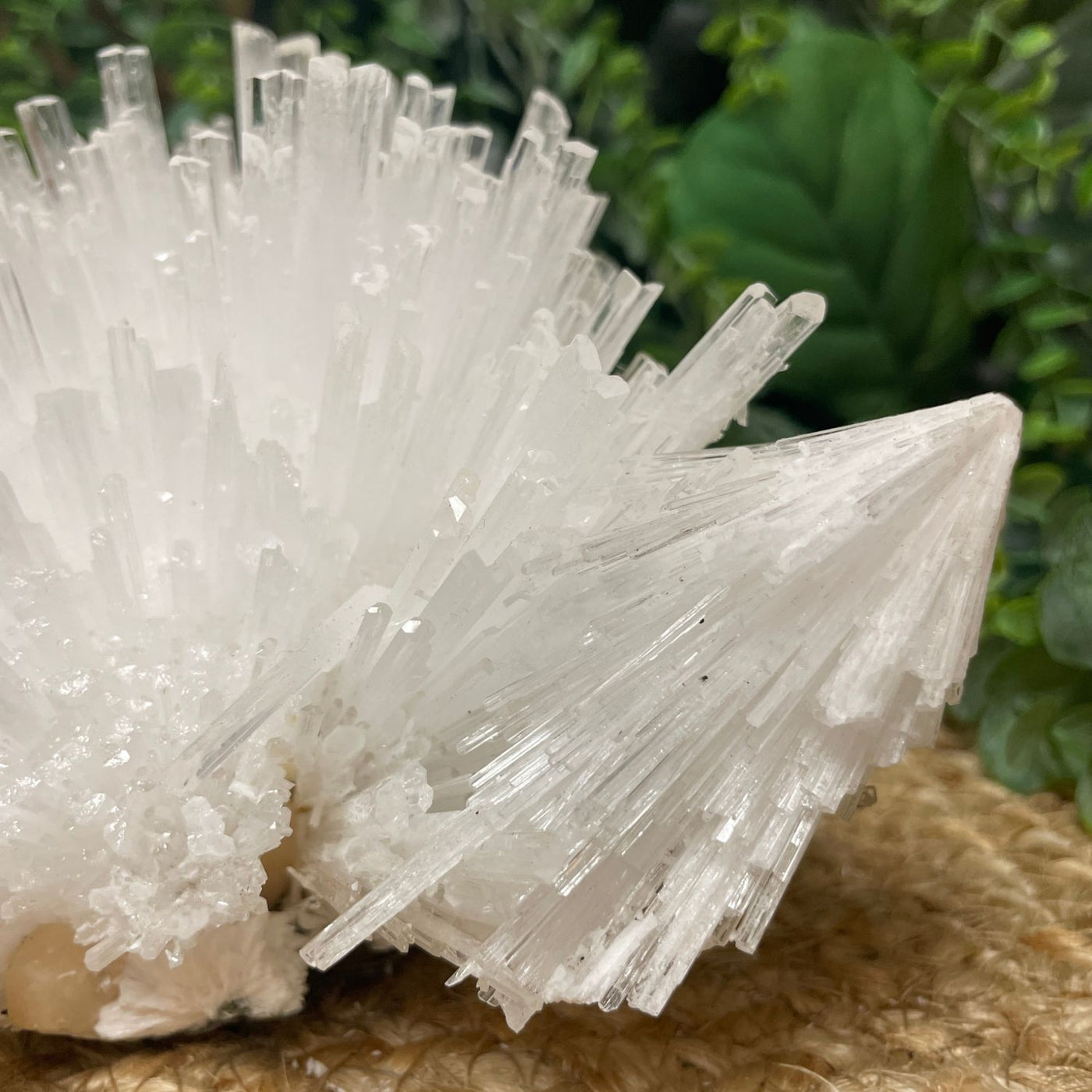 Scolecite