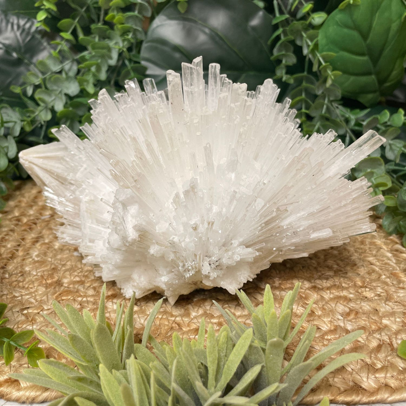 Scolecite
