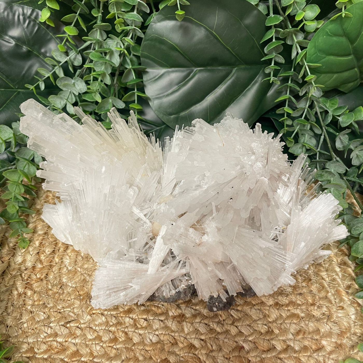 Scolecite