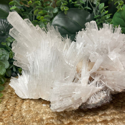 Scolecite