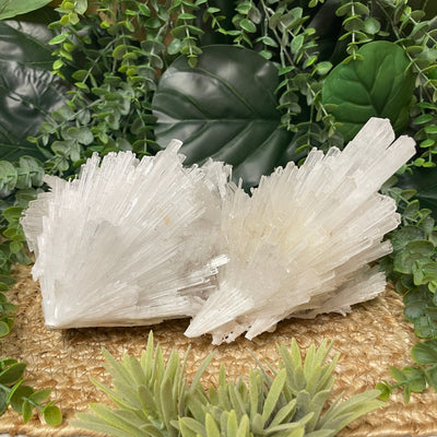 Scolecite