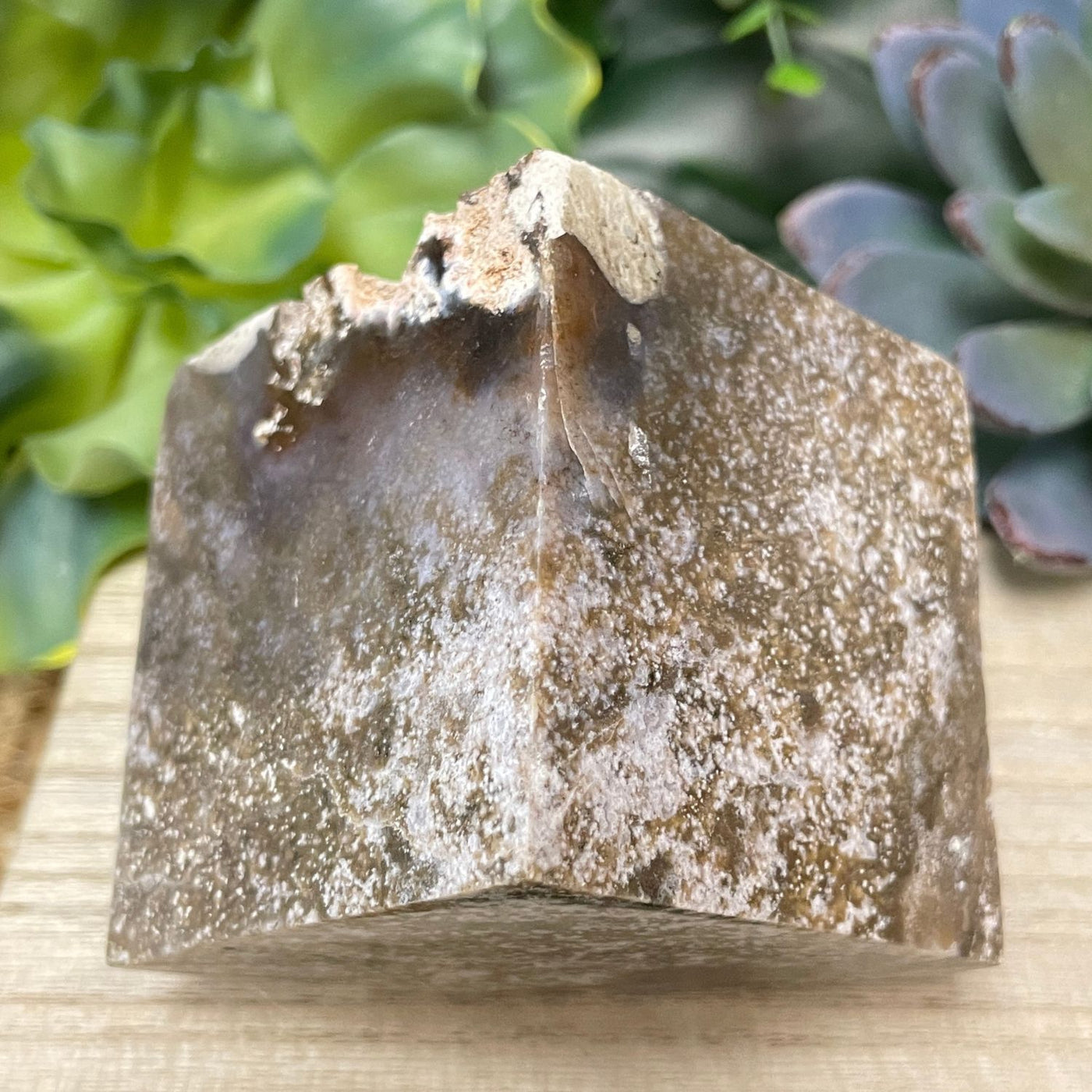 Ocean Jasper - Cube