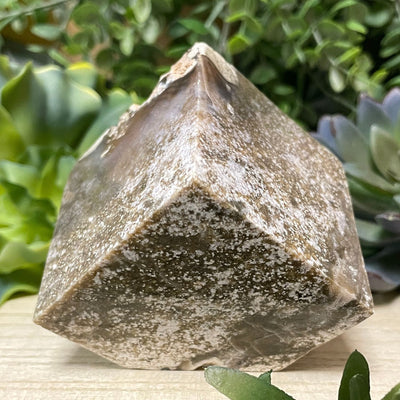 Ocean Jasper - Cube