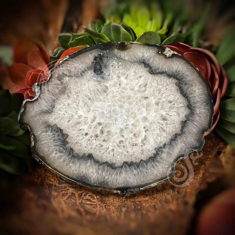 Agate Geode Slices - Set 4 Multi Choice Jj091 4.7’ X Accessories